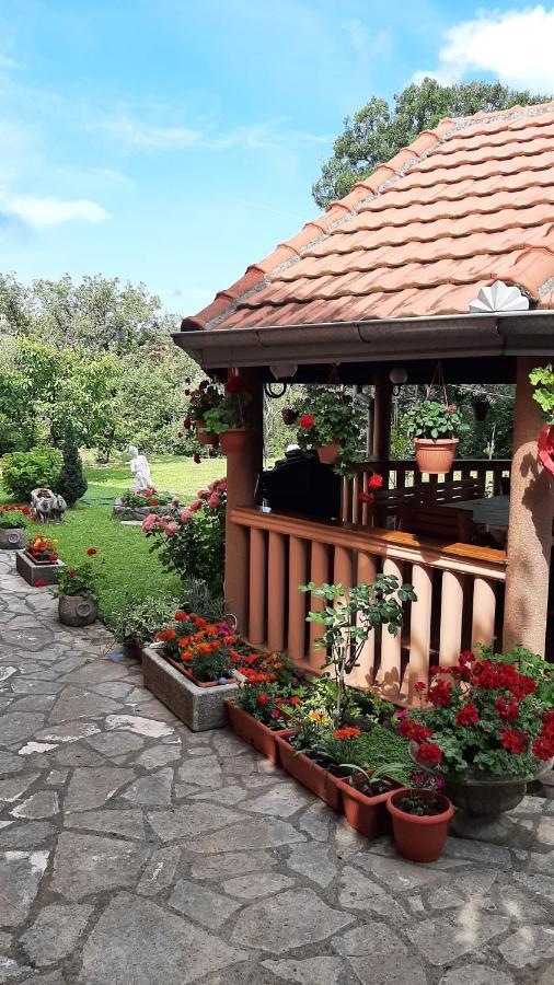 Apartmani "Dukic" Pelinovo Exteriör bild