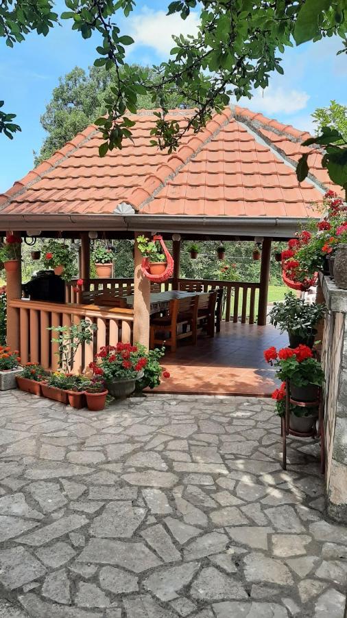 Apartmani "Dukic" Pelinovo Exteriör bild