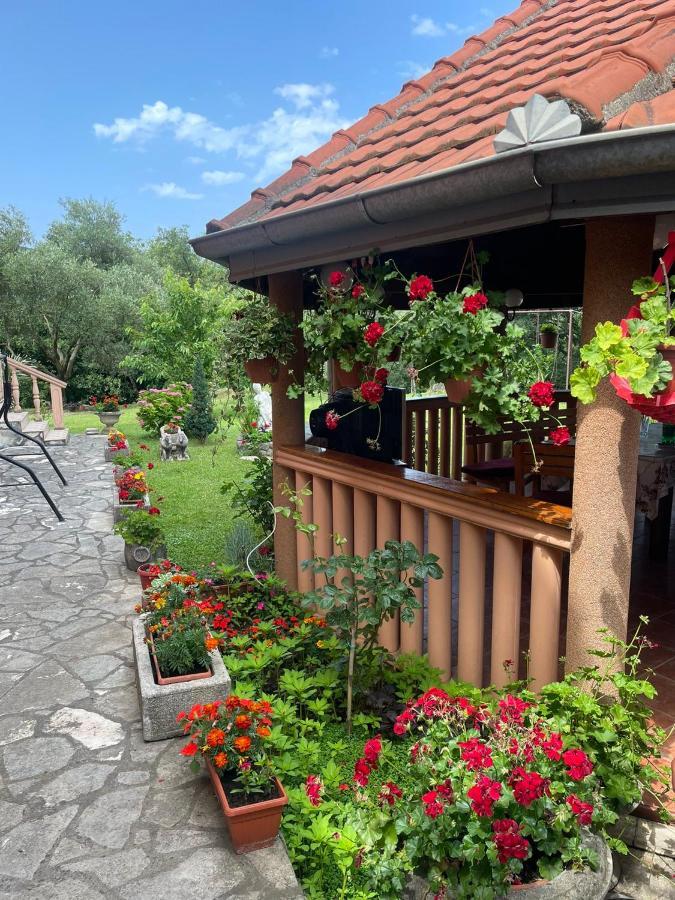 Apartmani "Dukic" Pelinovo Exteriör bild
