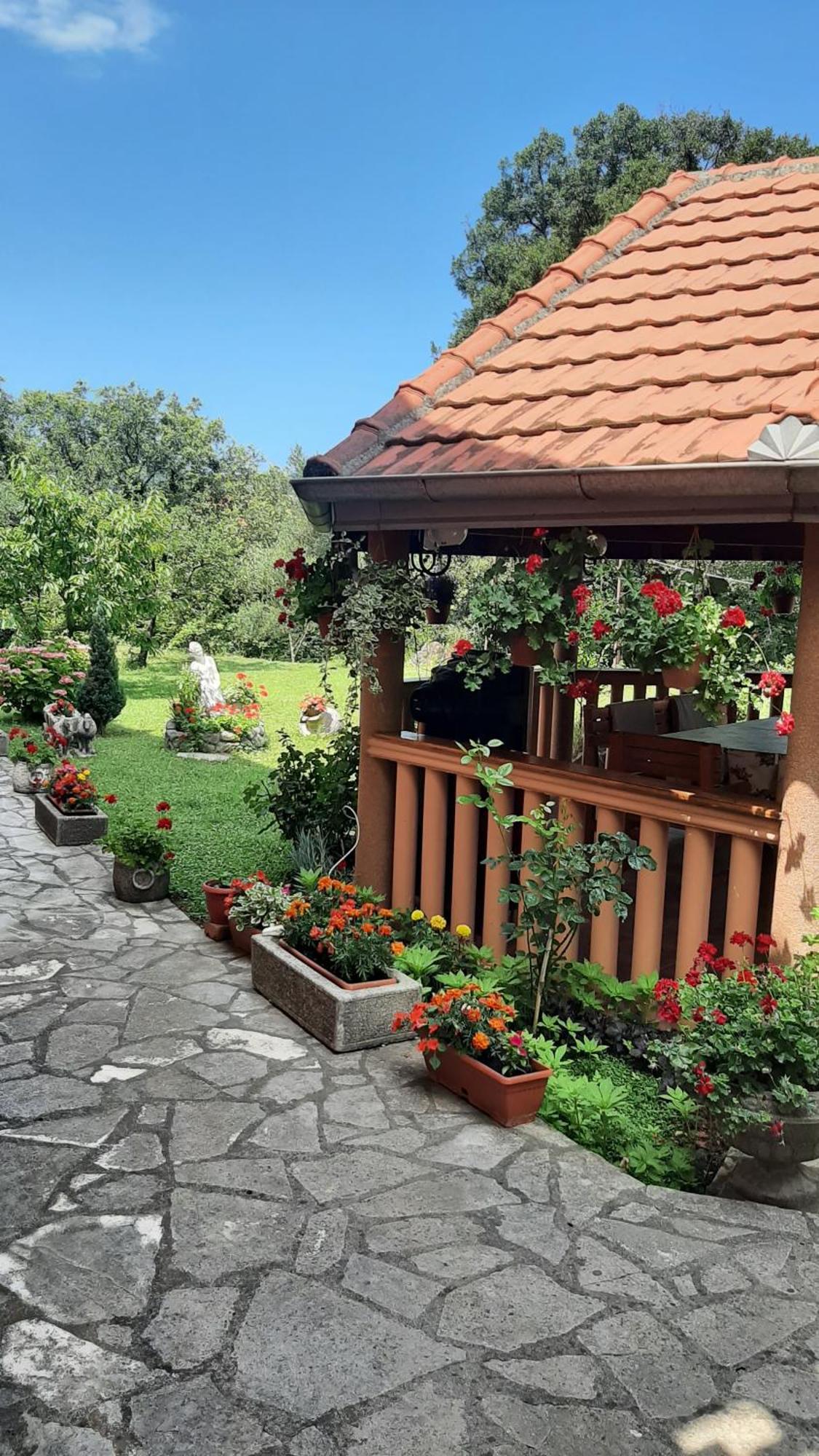Apartmani "Dukic" Pelinovo Rum bild
