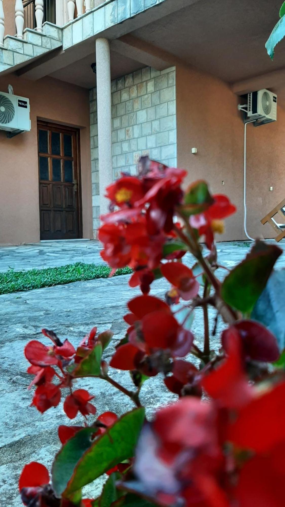 Apartmani "Dukic" Pelinovo Rum bild