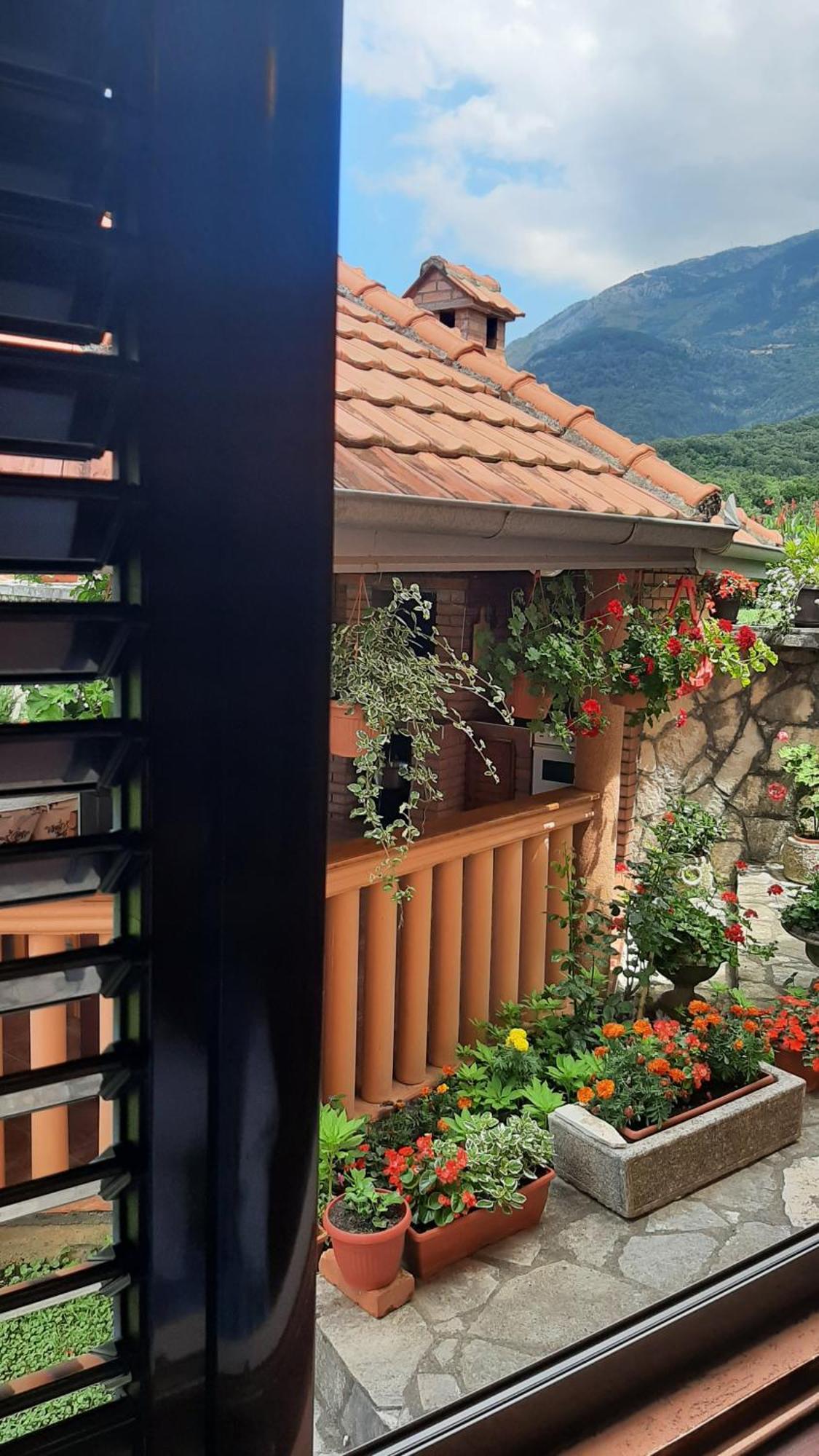 Apartmani "Dukic" Pelinovo Rum bild