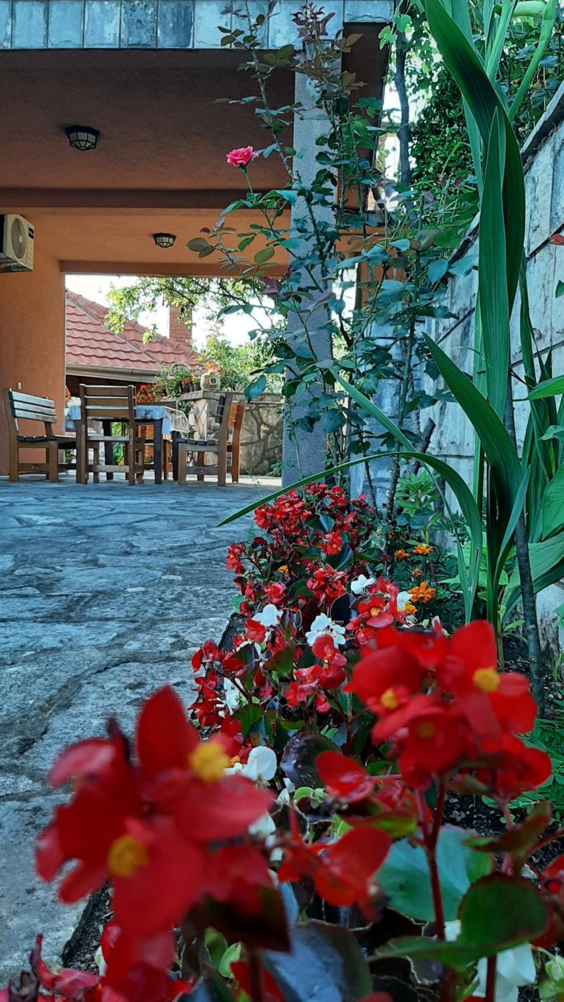 Apartmani "Dukic" Pelinovo Rum bild