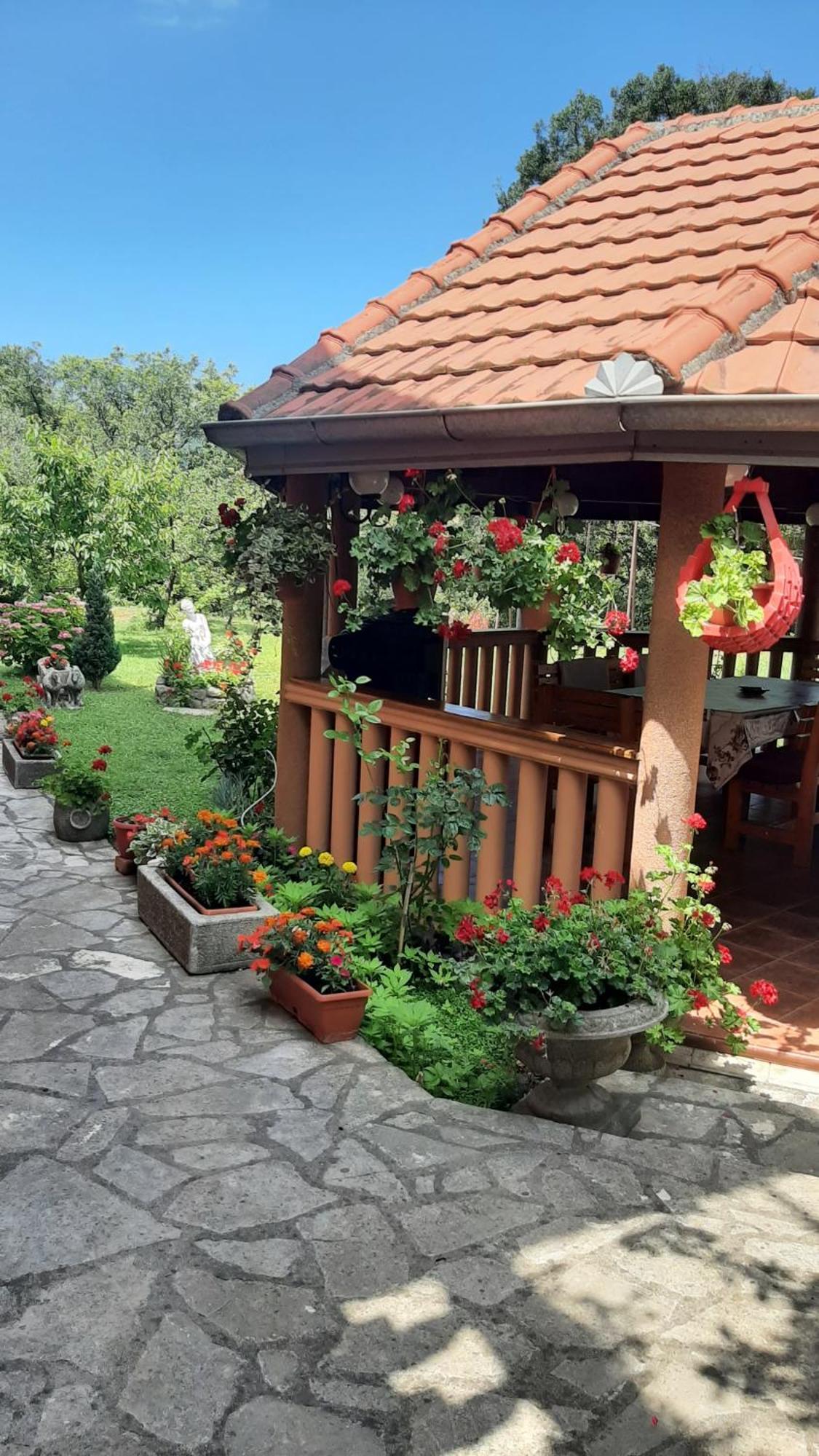 Apartmani "Dukic" Pelinovo Rum bild