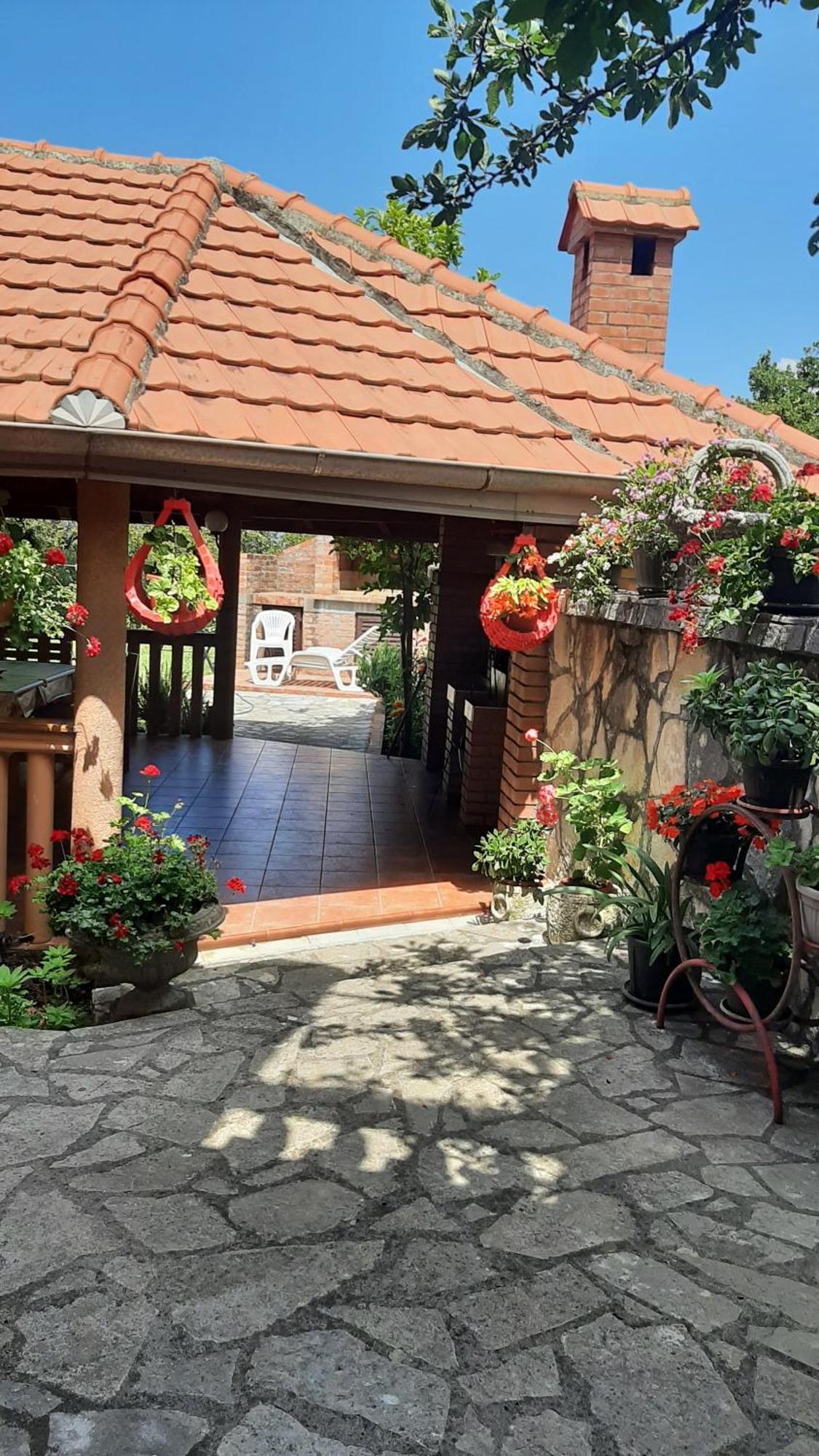 Apartmani "Dukic" Pelinovo Rum bild