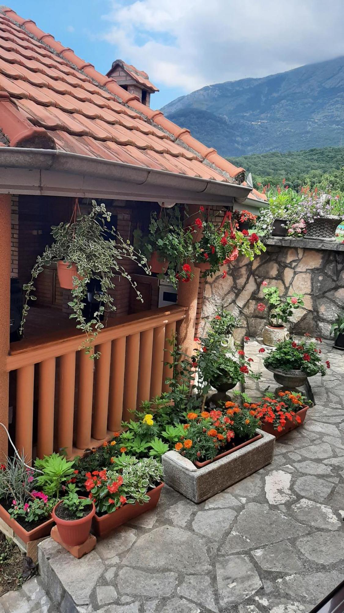 Apartmani "Dukic" Pelinovo Rum bild