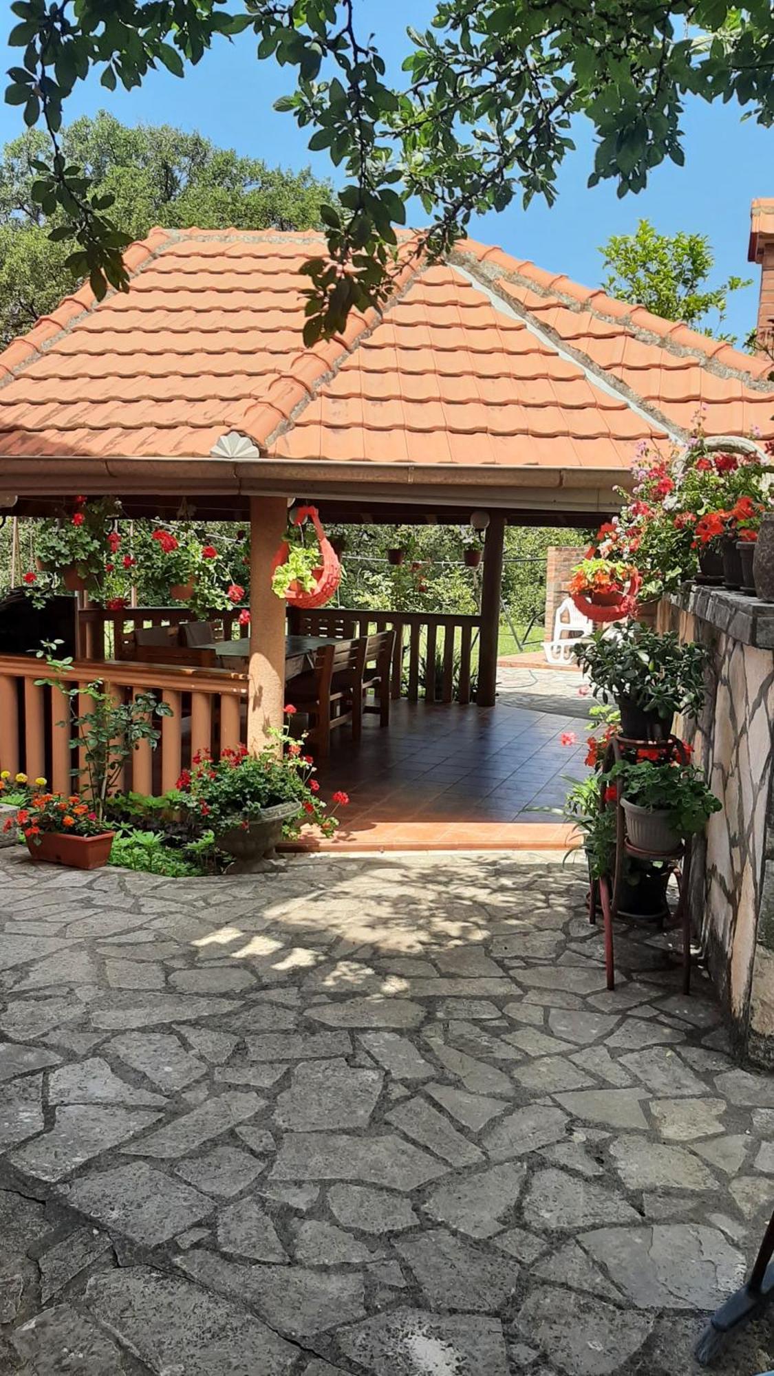 Apartmani "Dukic" Pelinovo Rum bild