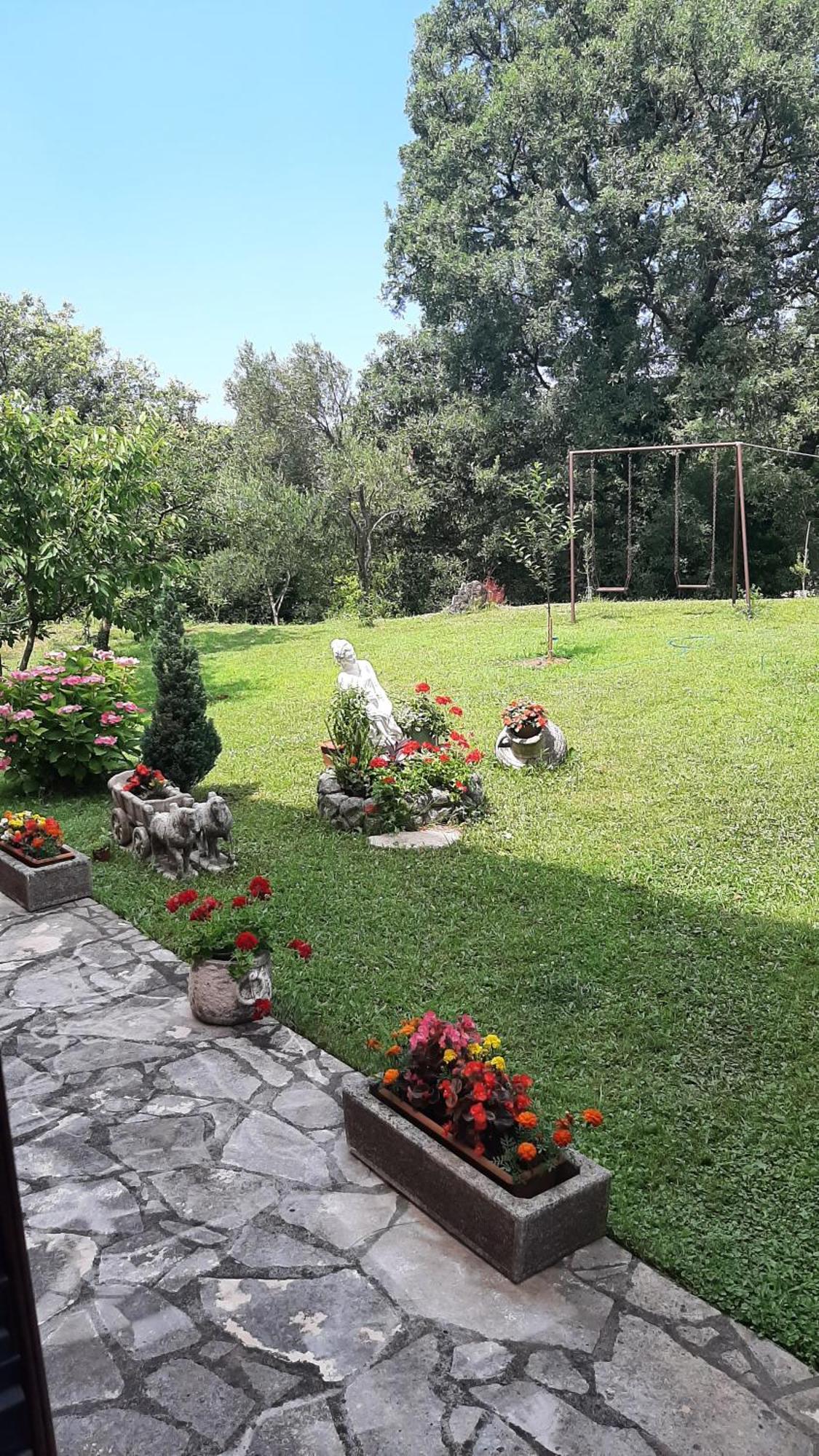 Apartmani "Dukic" Pelinovo Rum bild