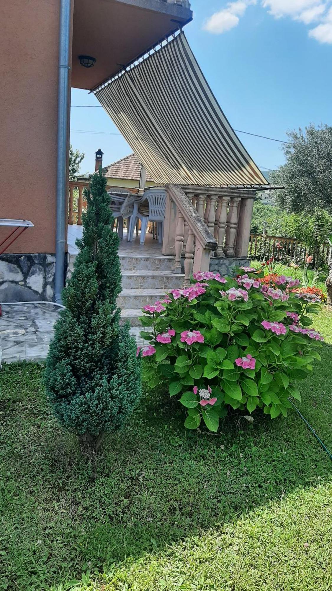 Apartmani "Dukic" Pelinovo Rum bild