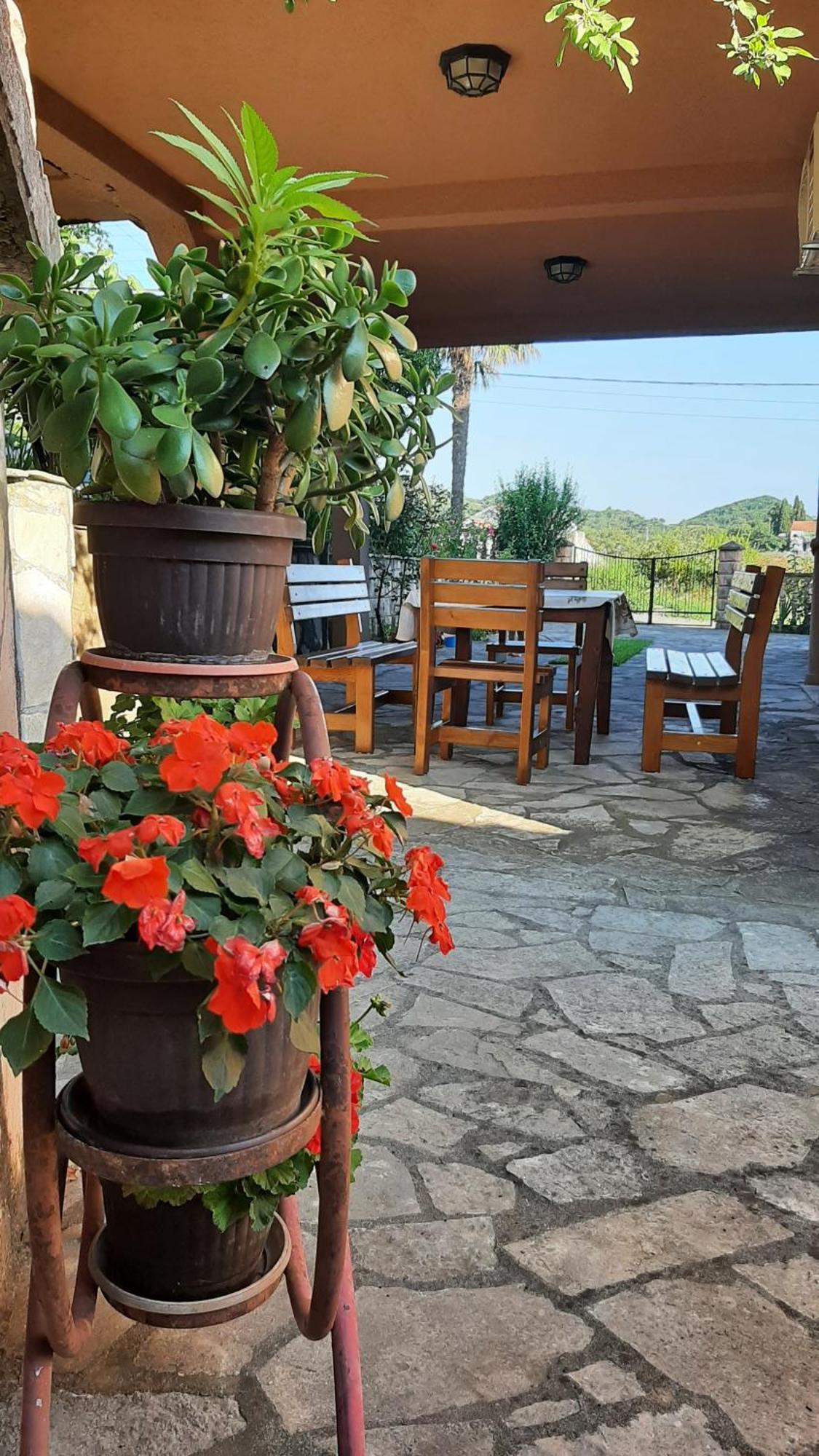 Apartmani "Dukic" Pelinovo Rum bild